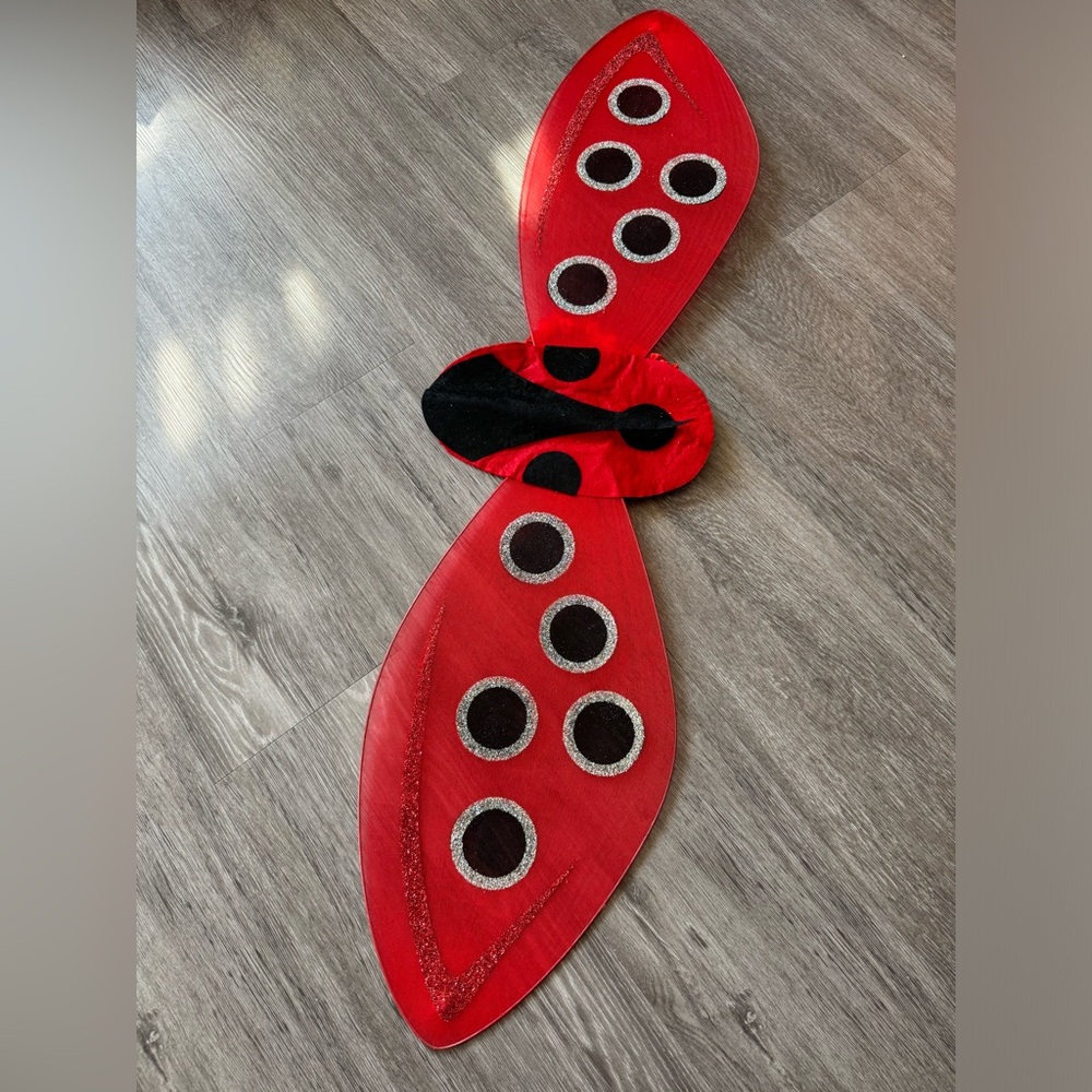 Ladybug Wings